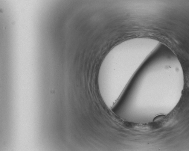 X0000066520515200603170953