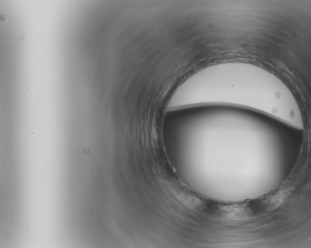 X0000066520516200603170953