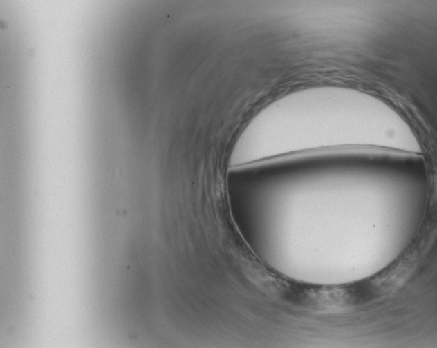 X0000066520517200603170953