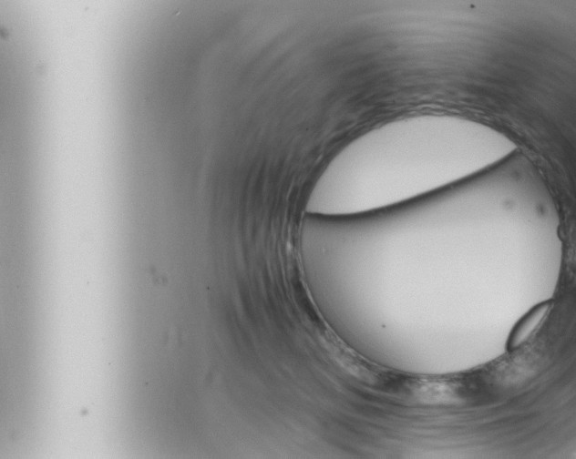 X0000066520518200603170953