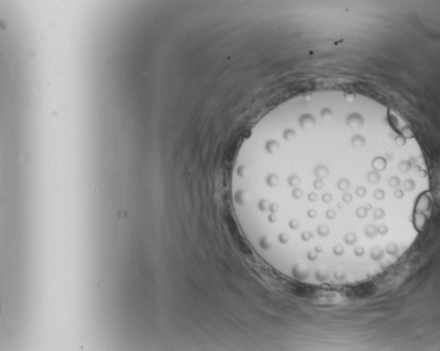 X0000066520519200603170953