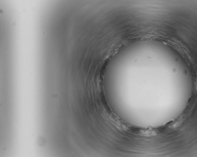 X0000066520520200603170953