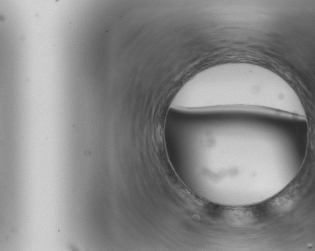 X0000066520521200603170953