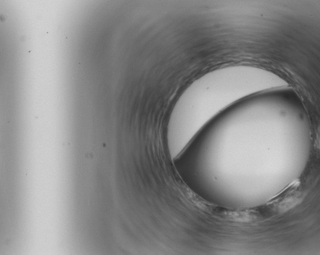 X0000066520524200603170953