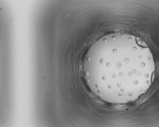 X0000066520527200603170953