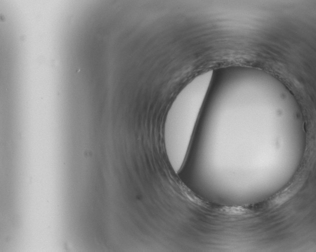 X0000066520528200603170953