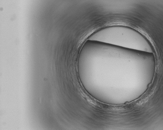 X0000066520529200603170952