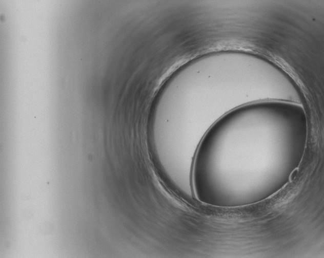 X0000066520530200603170952