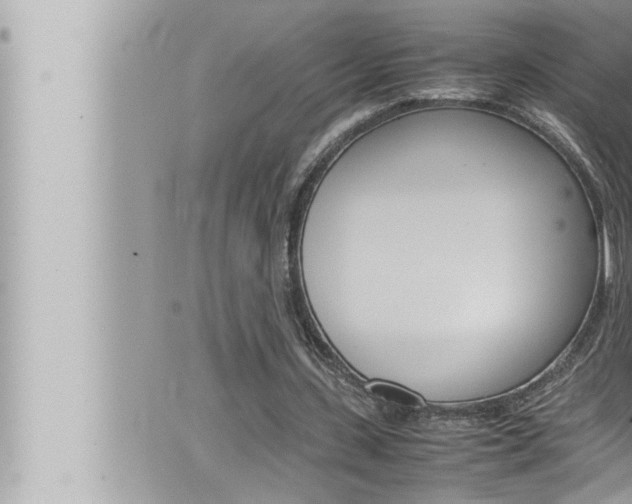 X0000066520531200603170952