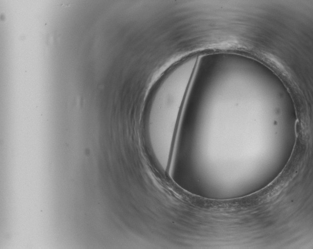 X0000066520532200603170952