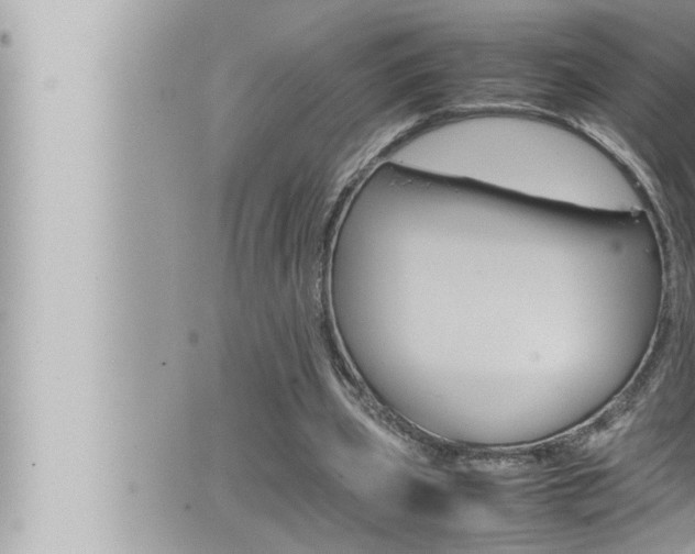 X0000066520533200603170952