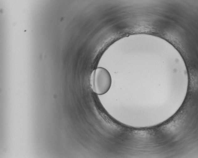 X0000066520534200603170952