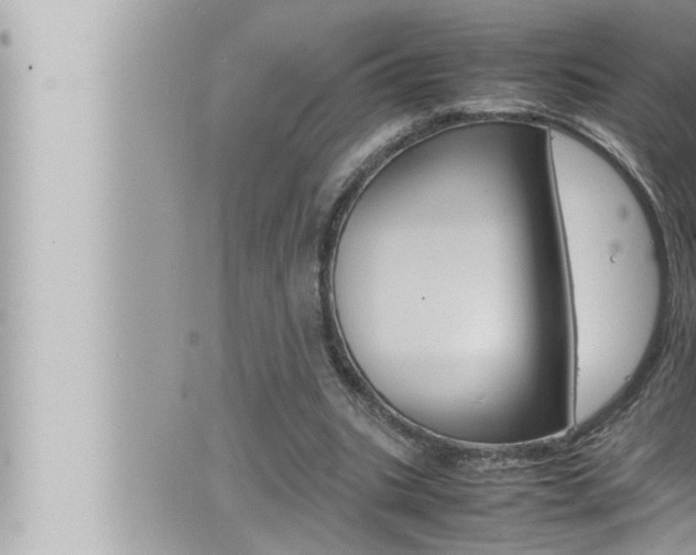 X0000066520535200603170952