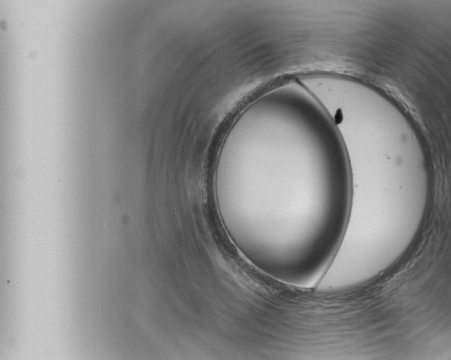 X0000066520536200603170952