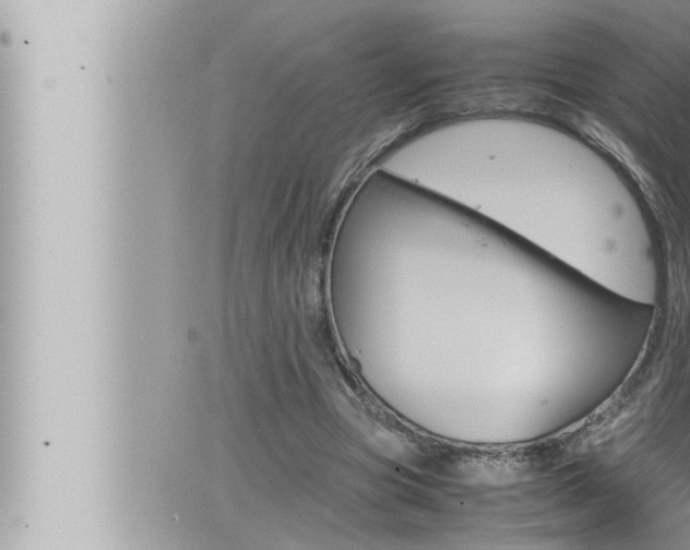 X0000066520537200603170952