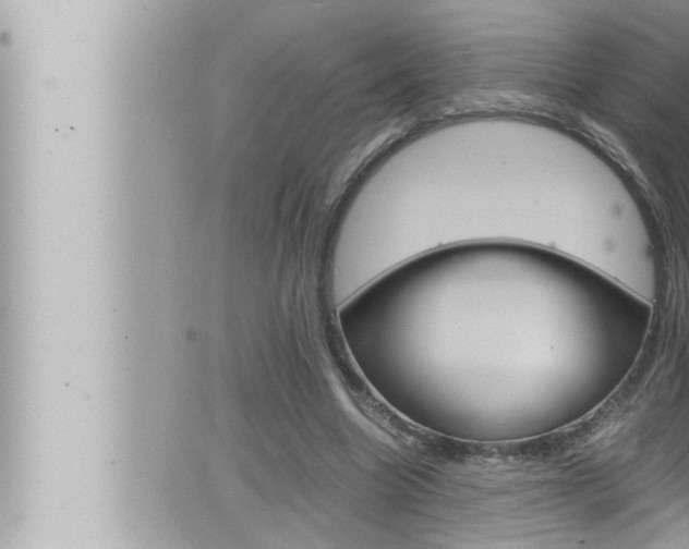 X0000066520538200603170952