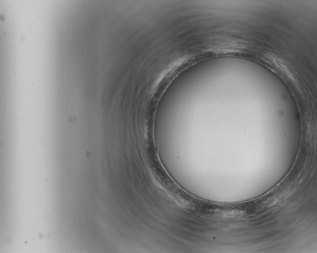 X0000066520539200603170952