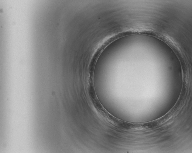 X0000066520540200603170952