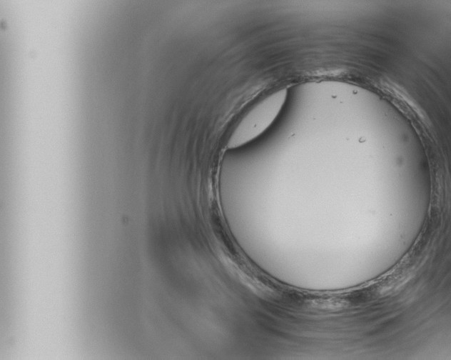 X0000066520541200603170952