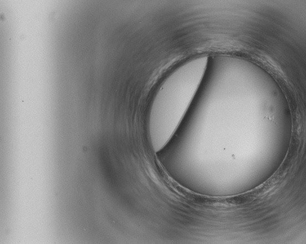 X0000066520542200603170952