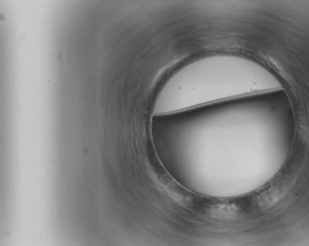 X0000066520543200603170953