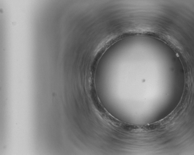 X0000066520544200603170953