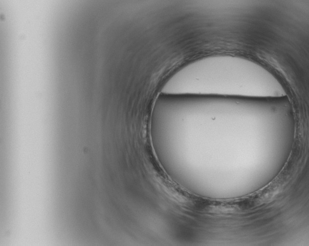 X0000066520545200603170953