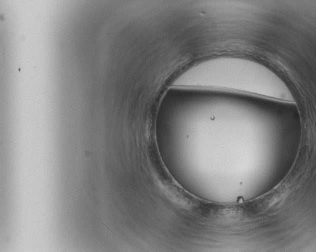 X0000066520546200603170953