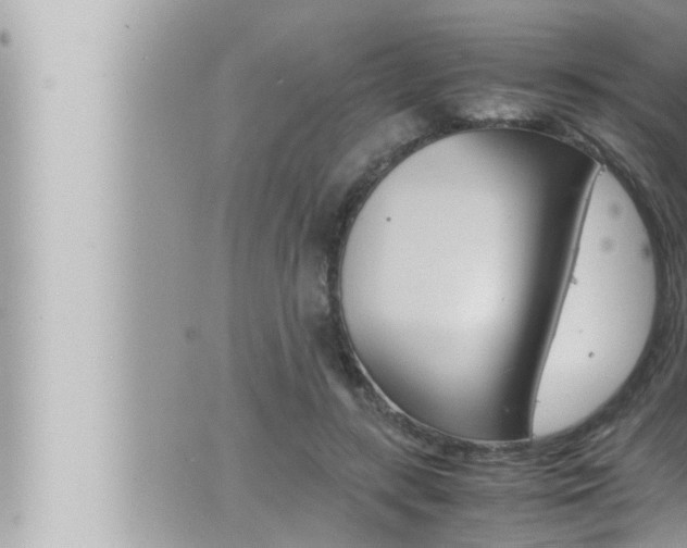 X0000066520547200603170953