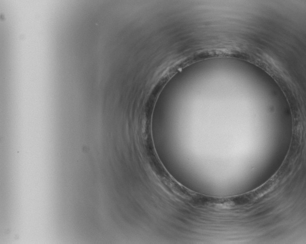 X0000066520548200603170953