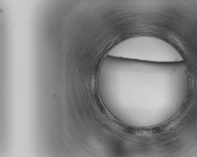 X0000066520549200603170953