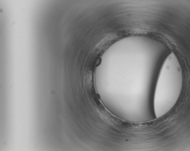 X0000066520550200603170953