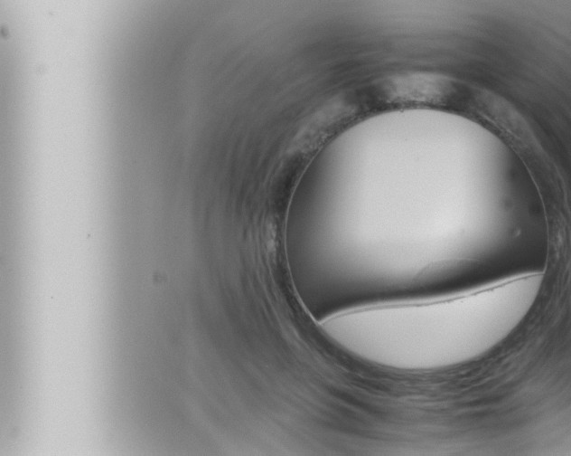 X0000066520551200603170953