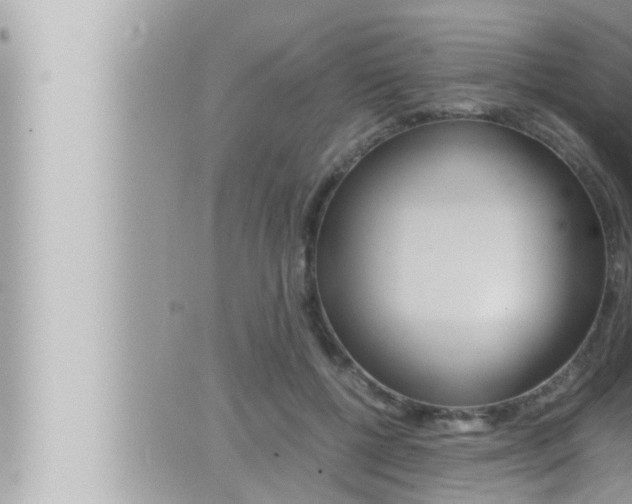 X0000066520552200603170953