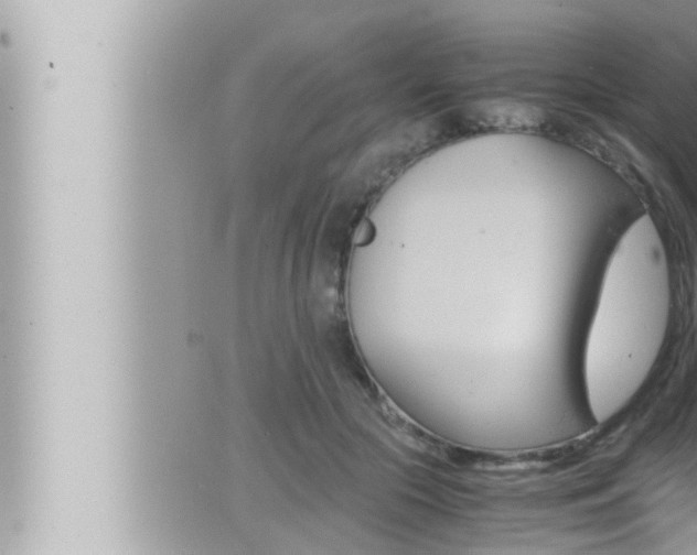 X0000066520553200603170953