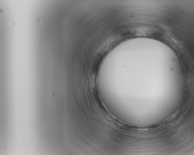 X0000066520554200603170953