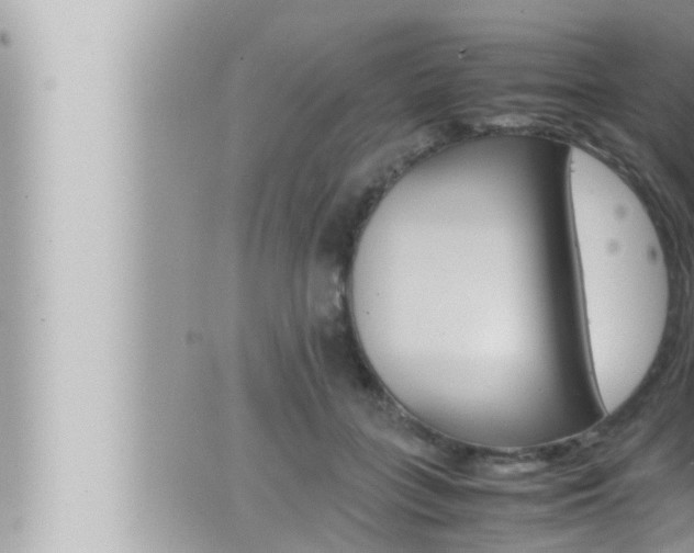 X0000066520555200603170953