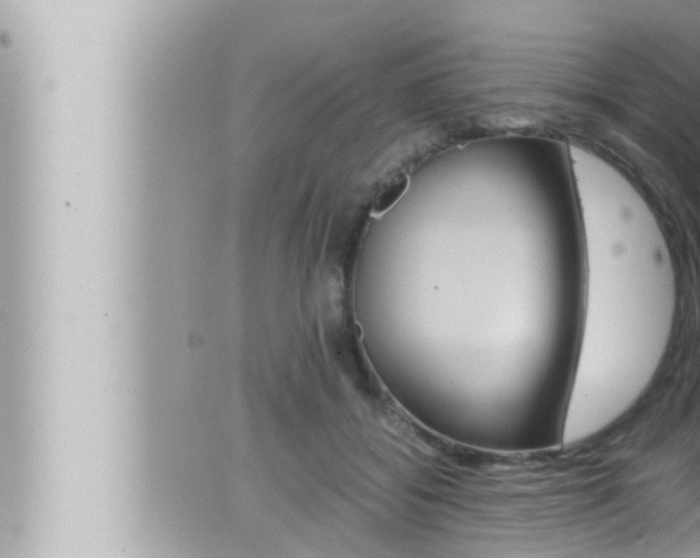 X0000066520556200603170953