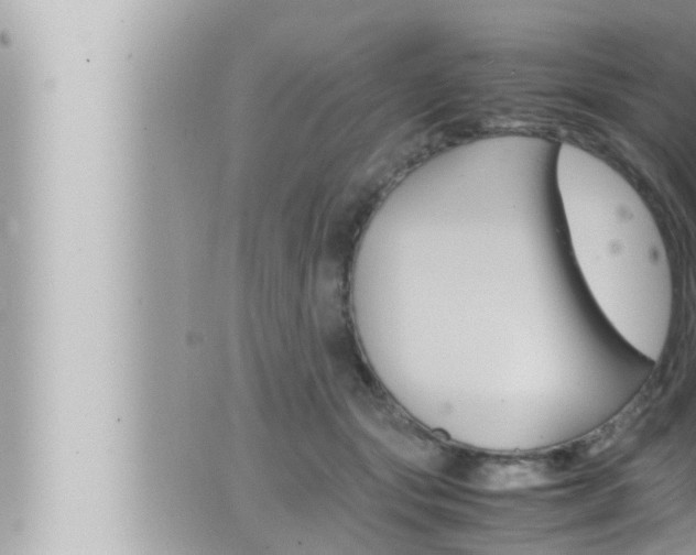 X0000066520557200603170953