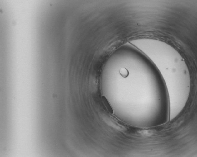 X0000066520558200603170953