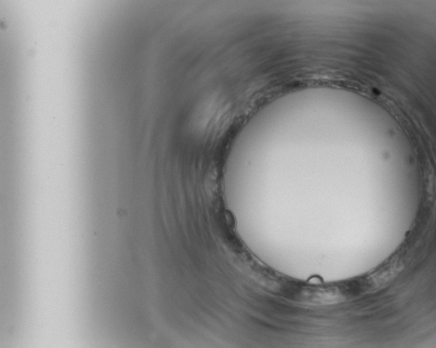 X0000066520559200603170953