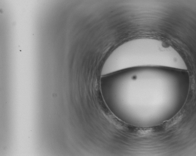 X0000066520560200603170953