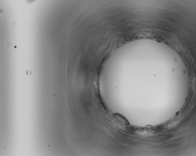 X0000066520561200603170953