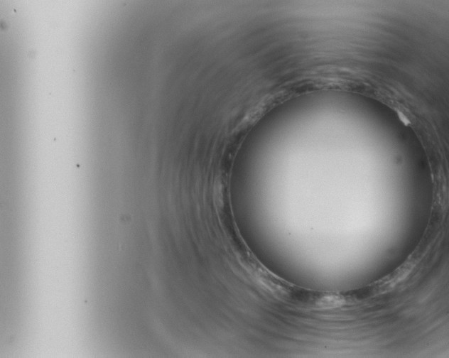 X0000066520562200603170953