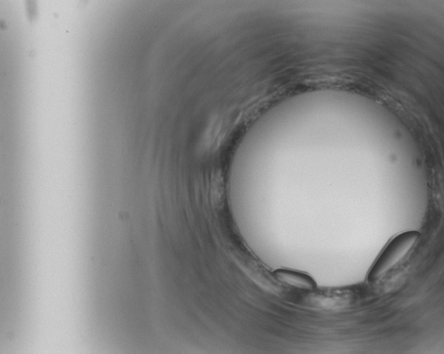 X0000066520563200603170953