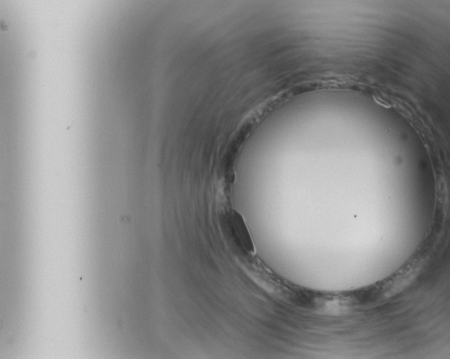 X0000066520564200603170953