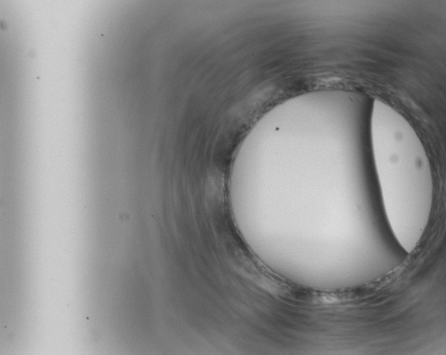 X0000066520565200603170953