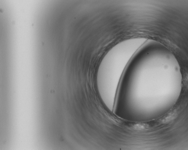 X0000066520566200603170953