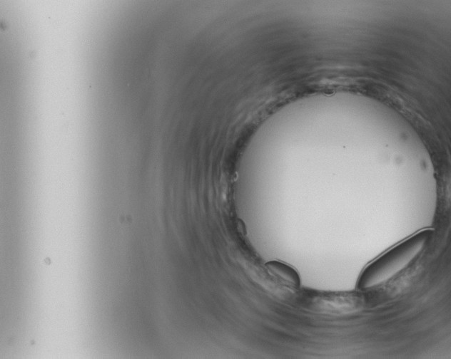 X0000066520567200603170953