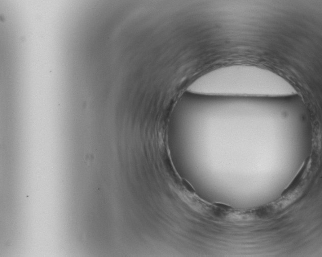 X0000066520568200603170953